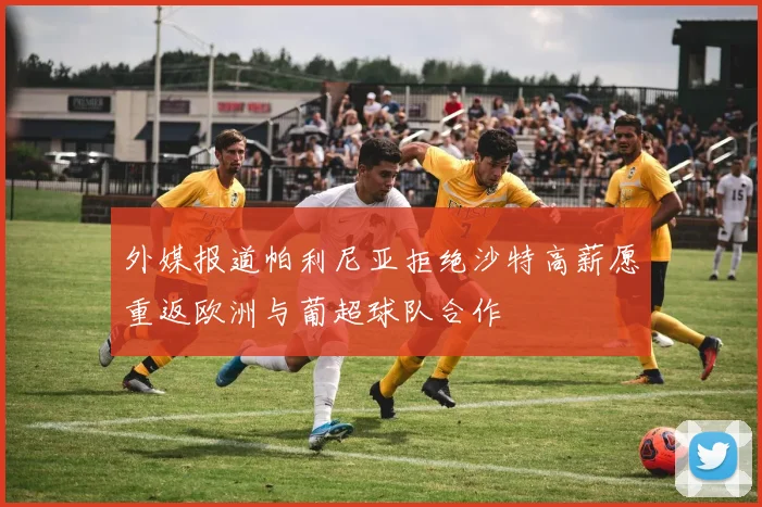 外媒报道帕利尼亚拒绝沙特高薪愿重返欧洲与葡超球队合作